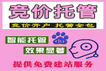 探索sem竞价代运营在中小企业中的运用案例